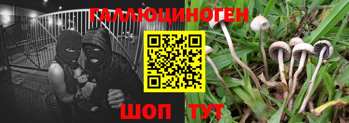 Галлюциногенные грибы Cubensis  Вход с VPN  Керчь 
