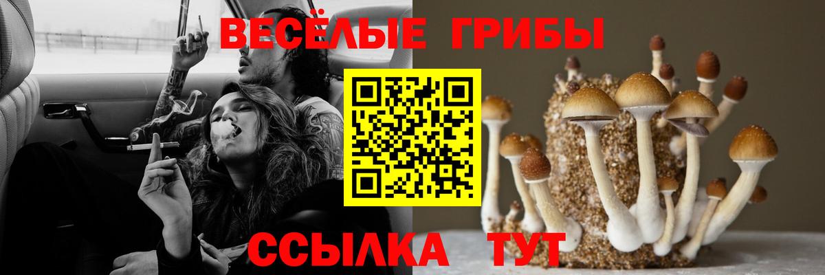 Псилоцибиновые грибы MAGIC MUSHROOMS Керчь